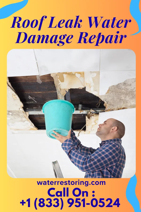 Roof Leak Water Damage Repair in Ridgewood, IL