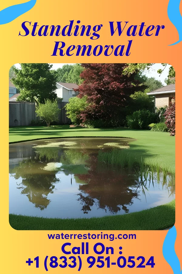Standing Water Removal in Ridgewood, IL